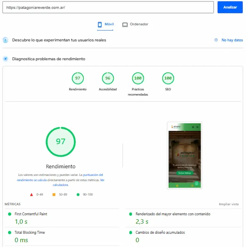 Puntuación 100/100 en Performance Mobile